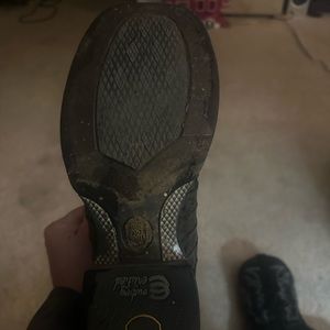 Dan post alligator owned by professional bull rider